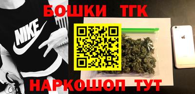 гашик Дубна