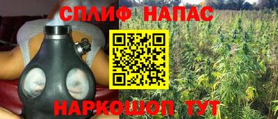 гашик Дубна