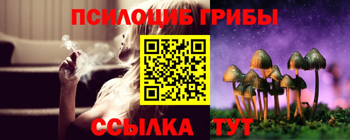Галлюциногенные грибы Cubensis  Вход с VPN  Кемерово  Псилоцибиновые грибы Psilocybe 